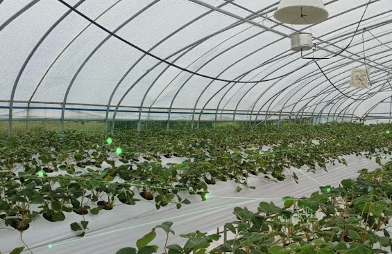 센서 배치 시스템